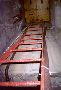 Emergency Escape Ladder