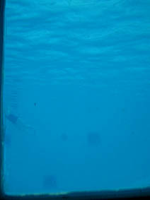 Pool porthole